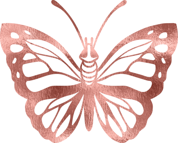 Rose Gold Butterfly Illustration
